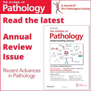 Annual Review Issue of The Journal of Pathology